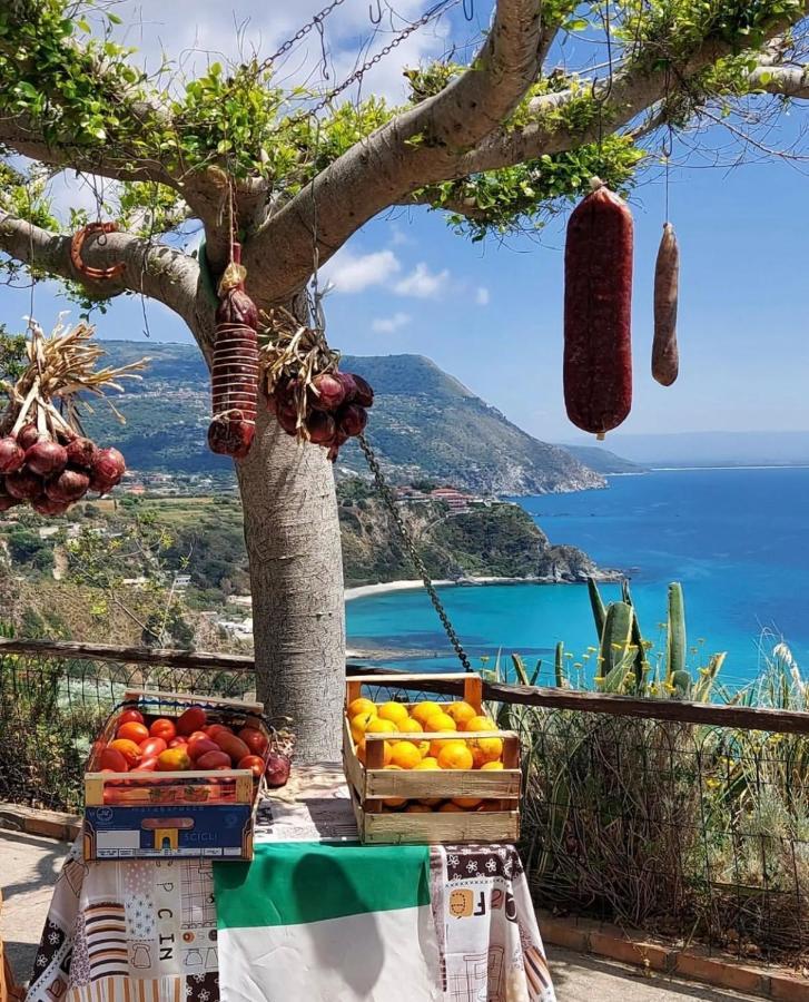 Il Giardino Di Capo Vaticano B&B And Apartments Exterior photo